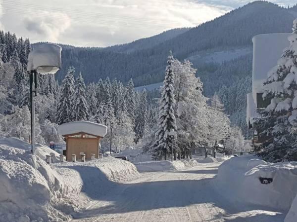 Apartment Holiday Lungoetz Annaberg im Lammertal Esterno foto